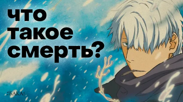 Самое светлое аниме о смерти — «Мастер Муси»